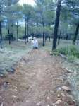 29012011359.jpg