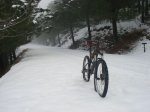 DSC00542.JPG