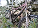 14-bici.jpg