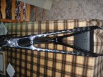 P7051319 (Copiar).JPG