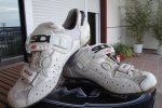DSC04354.JPG