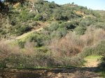 IMG_4822.jpg