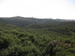 IMG_4829.jpg