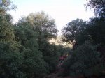 PC030017.JPG
