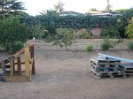 Copia de IMG_0455.JPG