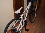 fotos009.jpg