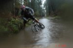 DSC01225web.jpg
