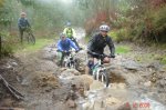 DSC01231web.jpg