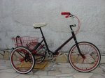 Rat Rod Trike.JPG