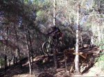 DSCF3213_0001.jpg