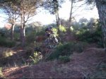 DSCF3180_0001.jpg