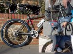 Collage_1024x768.jpg
