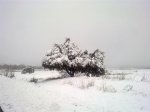 30012011336 (Medium).jpg