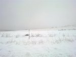 30012011335 (Medium).jpg