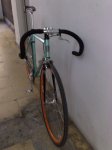 kona paddy 002 (450 x 600).jpg