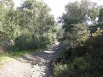 IMG_4889.jpg