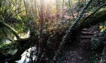 2011-02-03 17_01.34.11.JPG