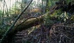 2011-02-03 17_01.34.00.JPG