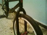 2011-02-03 22.11.51.jpg