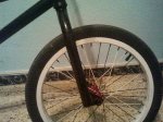 2011-02-03 22.11.39.jpg