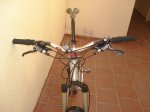 DSC07953.JPG