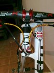 frontal2.jpg