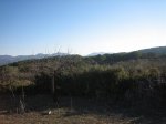 IMG_4958.JPG