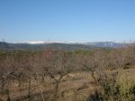 IMG_4962.JPG