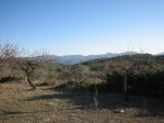 IMG_4957.JPG