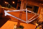 DSC01342.jpg