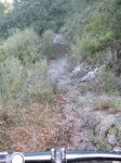IMG_4963.JPG