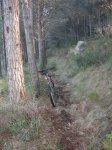 IMG_4965.JPG