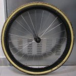 rued ciclo carbono (5).JPG