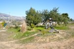 DSC02257.jpg