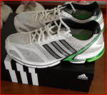adidas.PNG