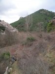 DSC05240.JPG