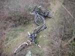 DSC05241.JPG