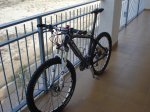 DSC04352_redimensionar.JPG