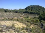 Imagen0321.jpg