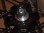 Mavic delantera1024.jpg