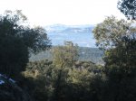IMG_8131.JPG