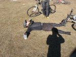 IMG_8173.JPG