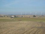 DSC01630.JPG