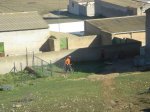 DSC01649.JPG