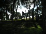 P1010001_redimensionar.JPG