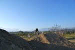 DSC02298.jpg