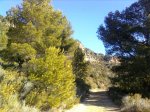 Imagen0066.jpg