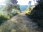 Imagen0059.jpg