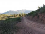 IMG_8195.JPG