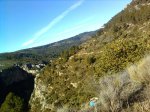 Imagen0068.jpg